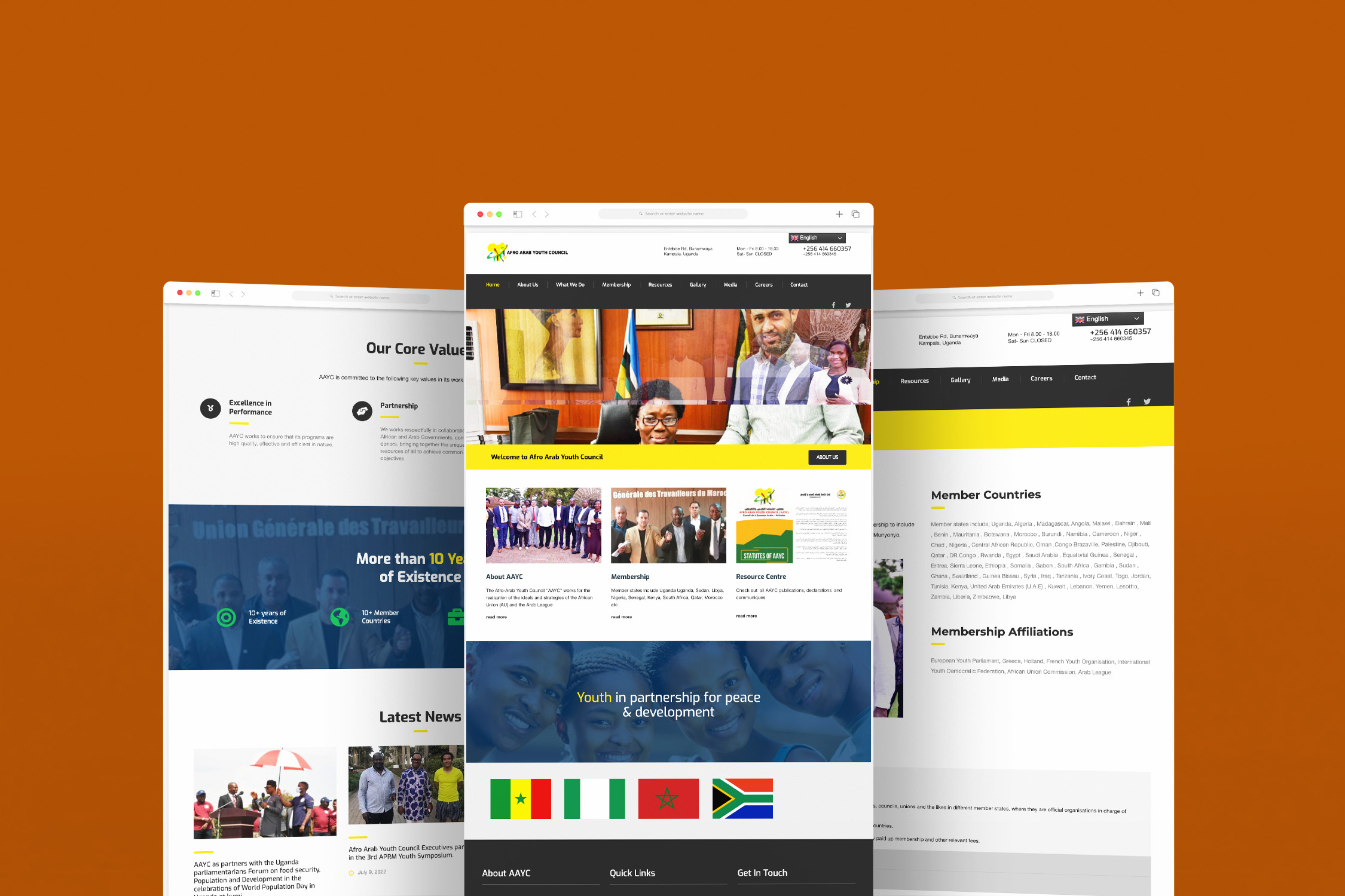 Afro Arab Youth Council